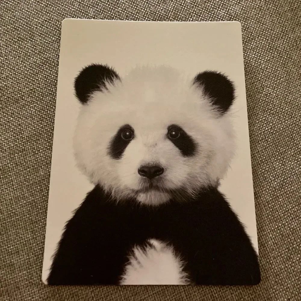Panda Bear Magnet 🐼 - Picture 3 of 4